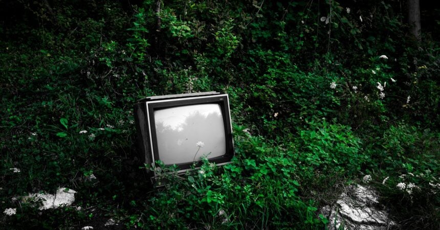 an old abandoned CRT television sitting in the middle of a green forest