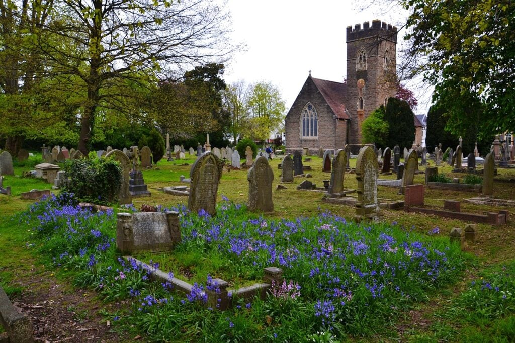 a very old church with a turret and a cemetery surrounding it. there are blue flowers growing on the graves