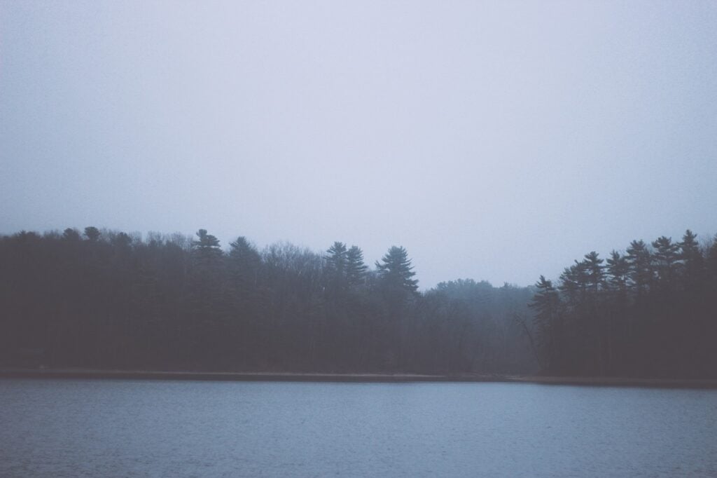 a pine treeline viewed across a lake on a foggy, moody day