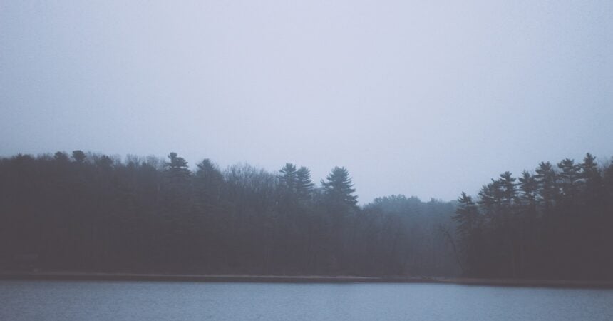 a pine treeline viewed across a lake on a foggy, moody day