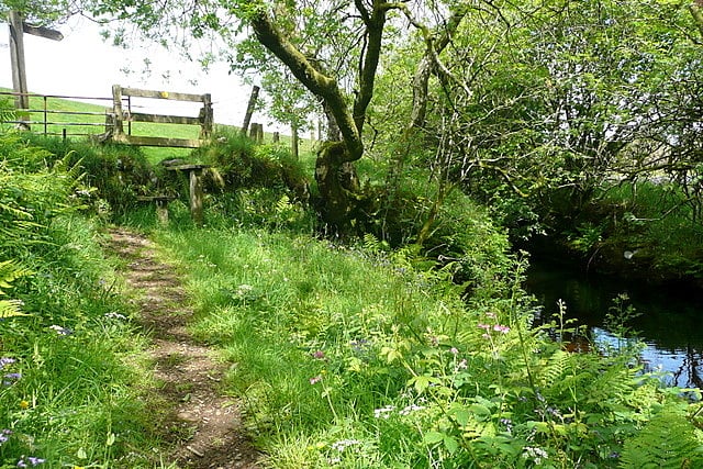 a coffin road - a worn footpath leading through green trees and grass to an old wooden gate