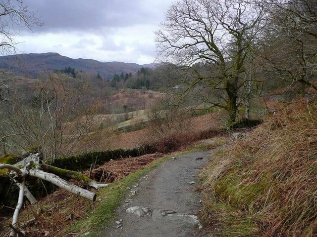 a corpse road leading through a gloomy, barren landscape
