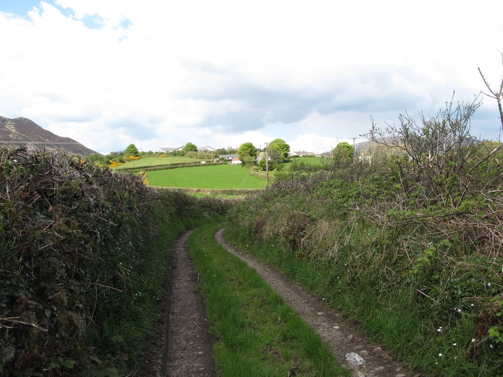 a corpse road in ireland, a worn path leading through a green landscape with a stone wall on the left