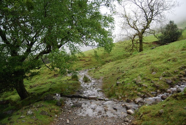 a stream crossing a corpse road in a green, verdant landscape