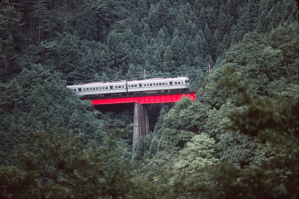 a train traveling on a red elevated line over a large forest of trees
